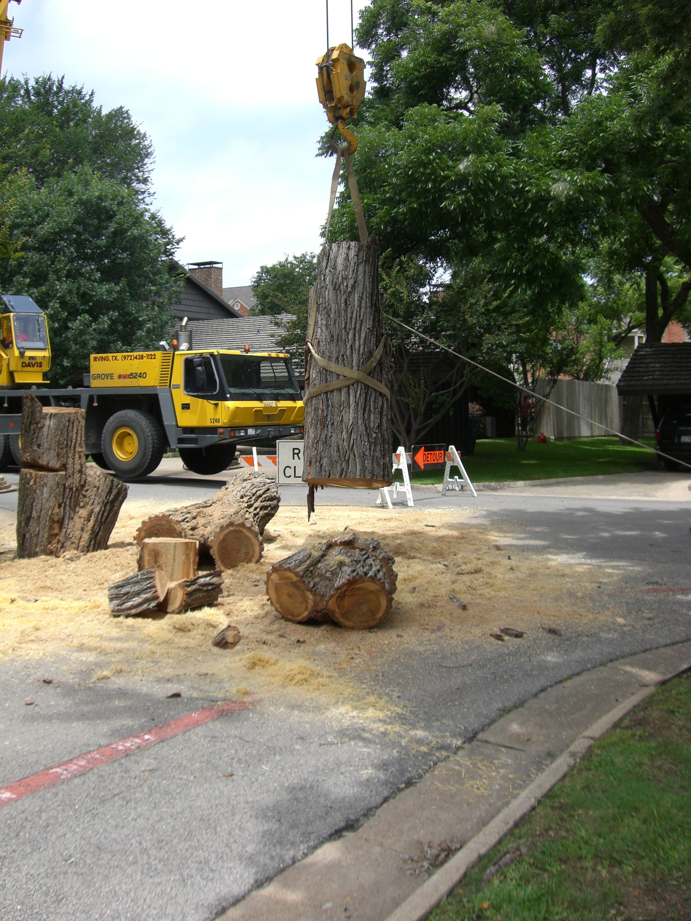 Crane Service for Trees in Dallas Fort Worth